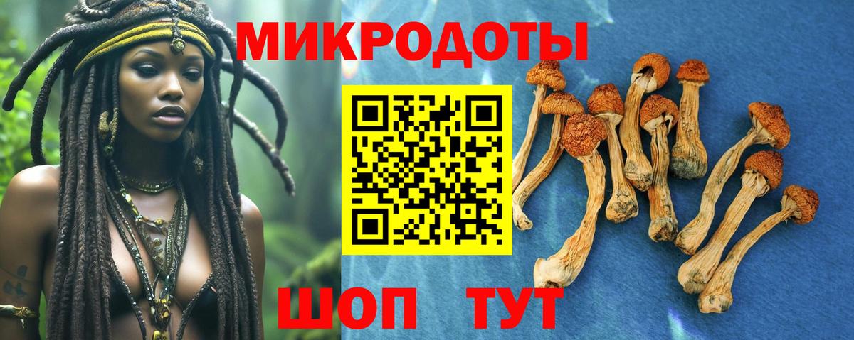 Камень-на-Оби  Псилоцибиновые грибы мухоморы  Галлюциногенные грибы мухоморы  хочу   Вход с VPN 