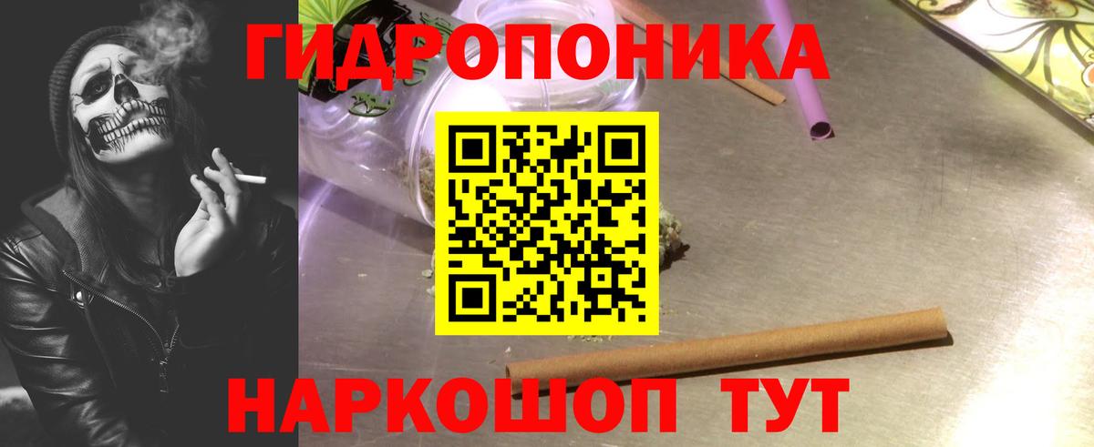 Камень-на-Оби  Марихуана сатива  Вход с VPN  Шишки марихуана гибрид 